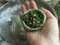 香甜软糯的马兰头青团做法图解10)