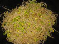 绿色食物素炒黄豆芽做法图解5)