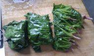 菠菜粉丝做法图解5)