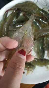 美味的蒜蓉粉丝蒸虾做法图解3)
