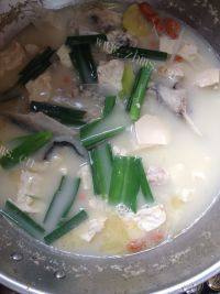 #美味时刻#鱼头豆腐汤做法图解6)