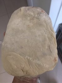 自制肉饼做法图解5)