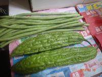家常菜苦瓜炒豆角做法图解1)