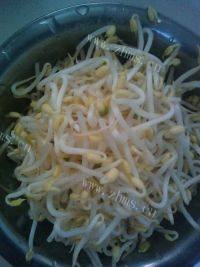 诱人的韭菜炒豆芽做法图解1)