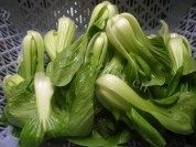 家常菜肉松烧豆腐做法图解1)