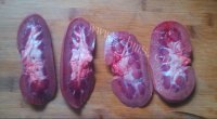 家常菜爆炒腰花做法图解3)
