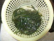 很有食欲的海带炒肉丝做法图解3)