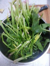 色泽不错的炝菠菜做法图解1)