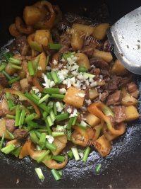家庭版土豆炖牛肉做法图解7)