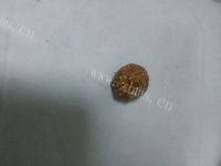 自己做的红糖燕麦饼干做法图解6)