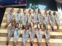 美味花开富贵虾做法图解2)