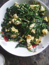 家常菜春韭炒鸡蛋