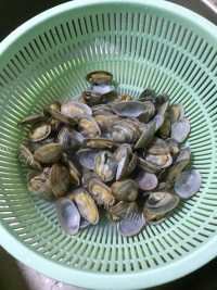 珍馐美味的炒花甲做法图解7)