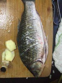 香浓的鲫鱼豆腐汤做法图解1)