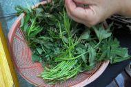 家常菜豉汁番薯叶做法图解1)