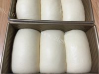 自制中种北海道吐司做法图解18)