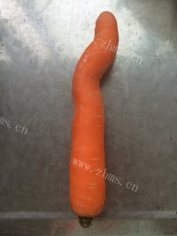 胡萝卜汁做法图解1)