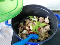 色香味俱全的啤酒炖鸡做法图解9)