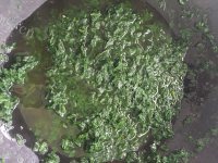 可口的菠菜面做法图解3)