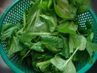 简单的蒜香菠菜做法图解1)