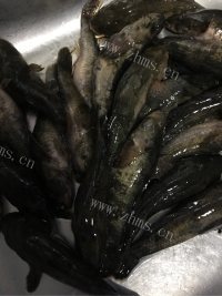 色泽诱人的红烧塘鳢鱼做法图解1)