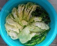 手工拌菜:火龙果皮拌圆白菜做法图解3)
