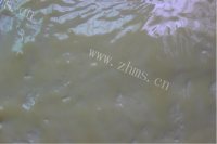 美味的葱花油饼做法图解7)