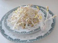 简易的自发绿豆芽
