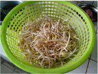 家常菜豆芽粉丝做法图解1)
