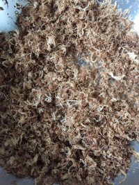 香喷喷的肉松做法图解6)