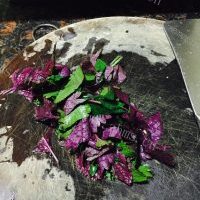 好吃的紫苏蒸鲗鱼的做法图解二