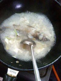 鲫鱼番茄豆腐汤做法图解6)