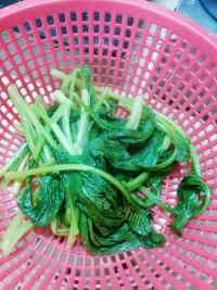 家常清炒小芥菜做法图解4)