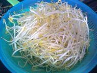 有特色的韭菜炒豆芽做法图解2)