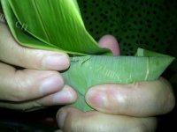 美味碱水粽做法图解9)