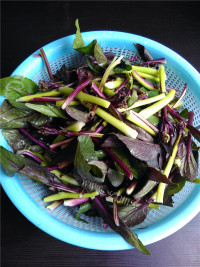 家常菜清炒红油菜做法图解2)