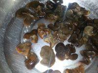 DIY美食-水煮肉片做法图解3)