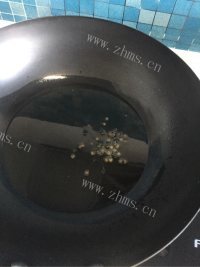 美味的芸豆包子做法图解8)