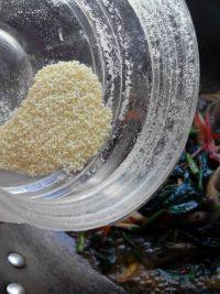 家常菜蘑菇炒菠菜