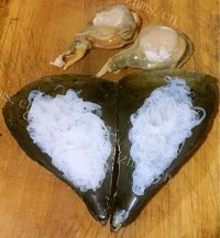 美味的蒜蓉粉丝蒸带子做法图解4)