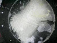 自己做的西红柿鸡蛋盖浇面做法图解7)