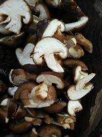 自制清炒香菇做法图解2)