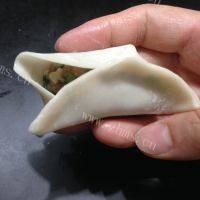 自制猪肉韭菜水饺做法图解14)