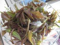 口感好的香椿拌豆腐做法图解1)