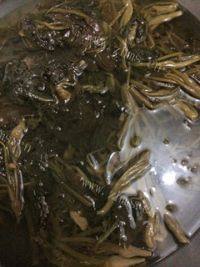 美味的雪里红炖豆腐做法图解1)