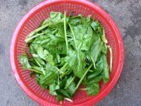 秘制蒜香菠菜做法图解3)