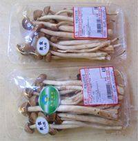 简单版干煸茶树菇做法图解1)