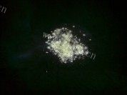 色泽不错的醋炒藕片做法图解4)