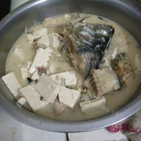 香飘十里的鲤鱼豆腐汤