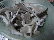 美味的什锦豆腐汤做法图解2)